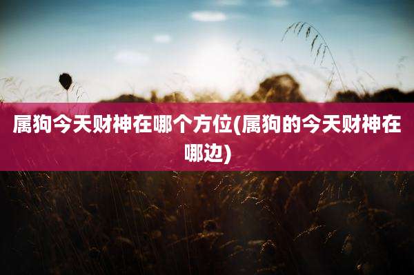 属狗今天财神在哪个方位(属狗的今天财神在哪边)