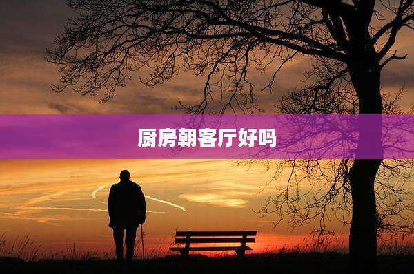 厨房朝客厅好吗