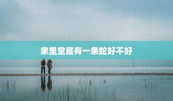 家里堂屋有一条蛇好不好