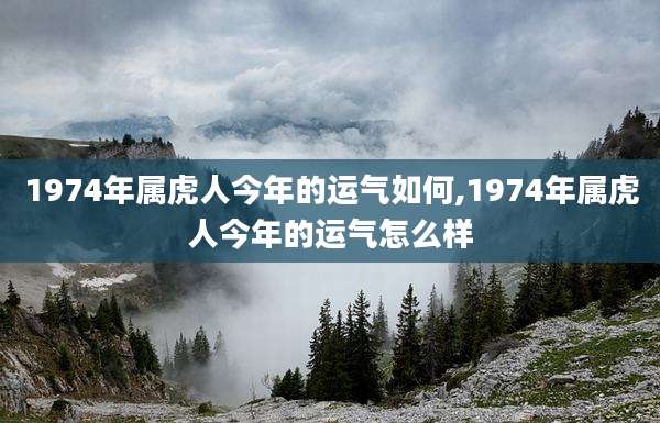 1974年属虎人今年的运气如何,1974年属虎人今年的运气怎么样