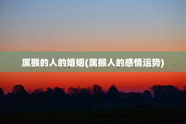 属猴的人的婚姻(属猴人的感情运势)
