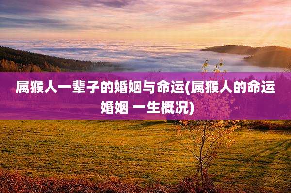 属猴人一辈子的婚姻与命运(属猴人的命运 婚姻 一生概况)