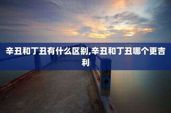 辛丑和丁丑有什么区别,辛丑和丁丑哪个更吉利