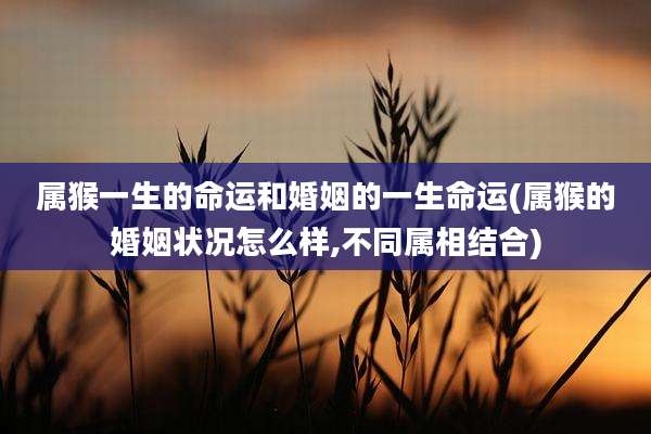 属猴一生的命运和婚姻的一生命运(属猴的婚姻状况怎么样,不同属相结合)