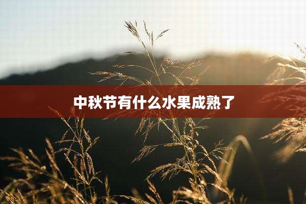 中秋节有什么水果成熟了