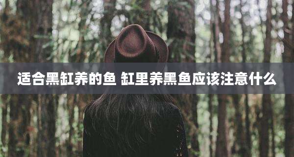 适合黑缸养的鱼 缸里养黑鱼应该注意什么