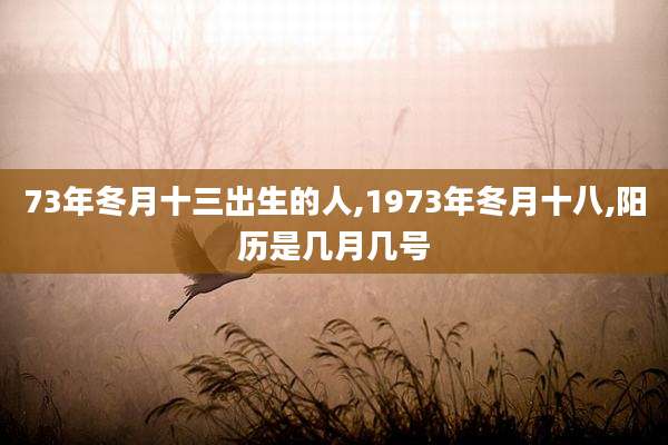 73年冬月十三出生的人,1973年冬月十八,阳历是几月几号
