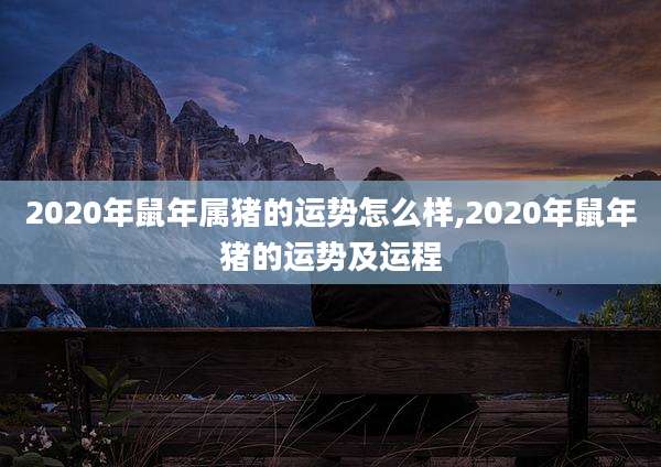 2020年鼠年属猪的运势怎么样,2020年鼠年猪的运势及运程