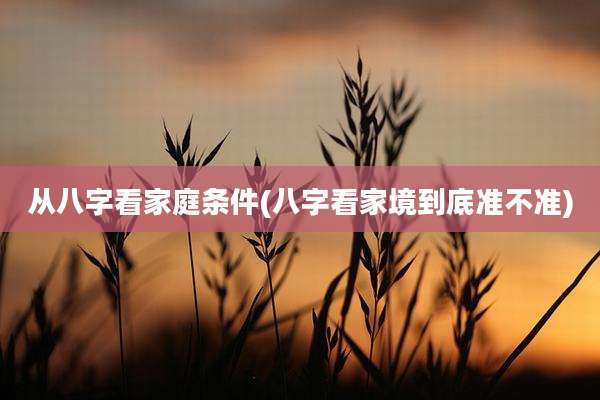 从八字看家庭条件(八字看家境到底准不准)