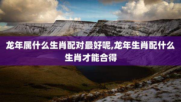龙年属什么生肖配对最好呢,龙年生肖配什么生肖才能合得