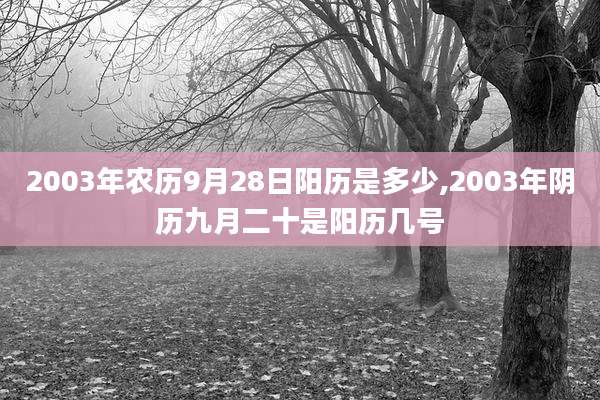 2003年农历9月28日阳历是多少,2003年阴历九月二十是阳历几号