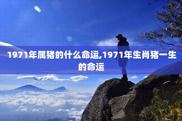 1971年属猪的什么命运,1971年生肖猪一生的命运