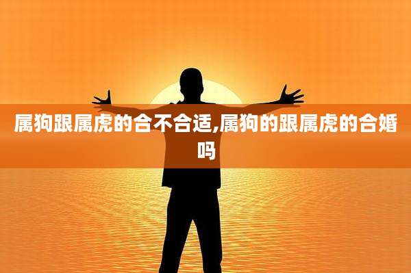 属狗跟属虎的合不合适,属狗的跟属虎的合婚吗