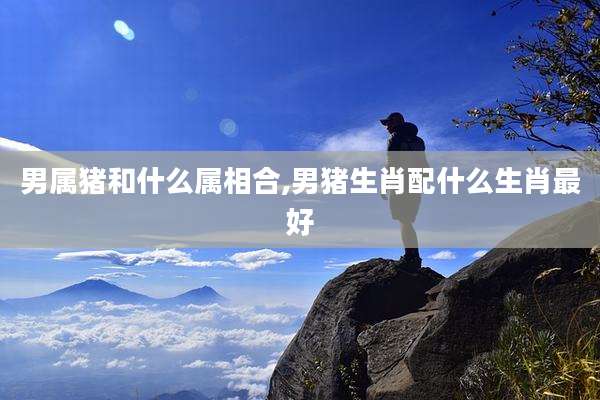 男属猪和什么属相合,男猪生肖配什么生肖最好