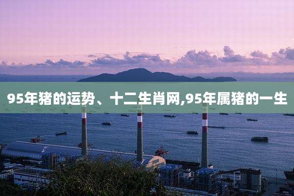 95年猪的运势、十二生肖网,95年属猪的一生