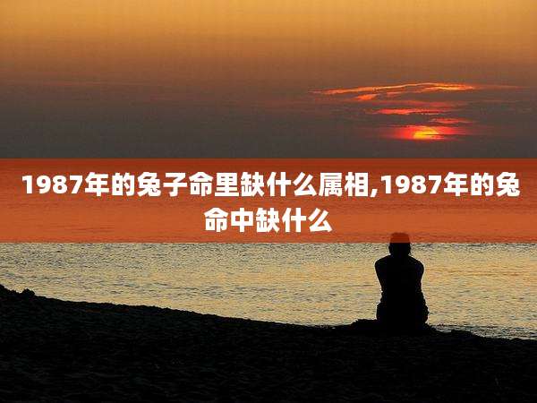 1987年的兔子命里缺什么属相,1987年的兔命中缺什么