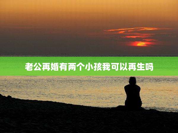 老公再婚有两个小孩我可以再生吗