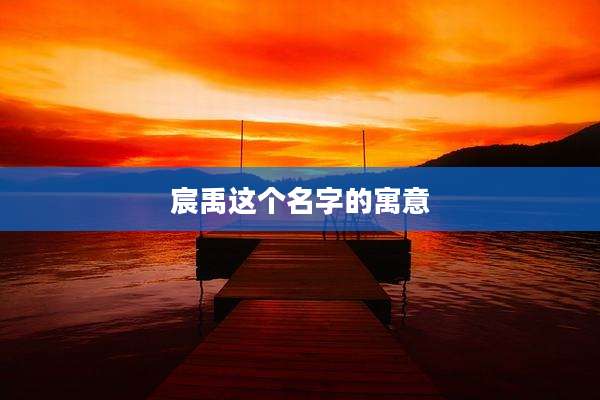 宸禹这个名字的寓意