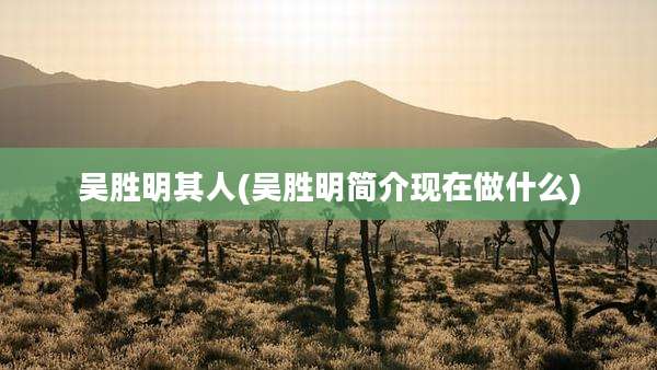 吴胜明其人(吴胜明简介现在做什么)