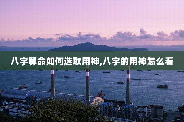 八字算命如何选取用神,八字的用神怎么看