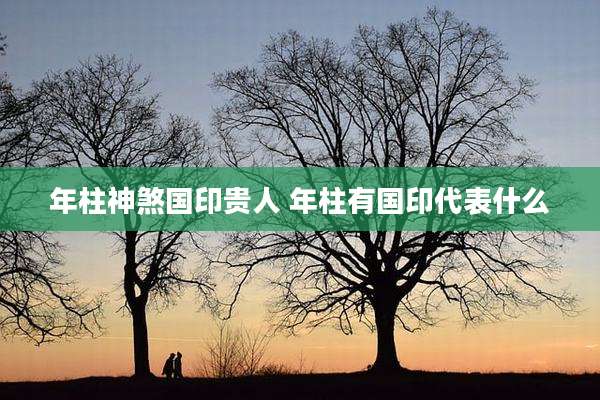 年柱神煞国印贵人 年柱有国印代表什么