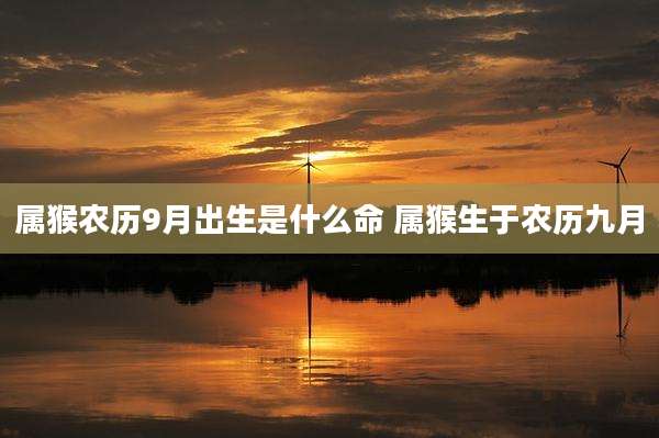 属猴农历9月出生是什么命 属猴生于农历九月