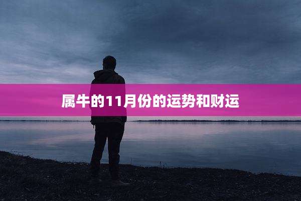 属牛的11月份的运势和财运