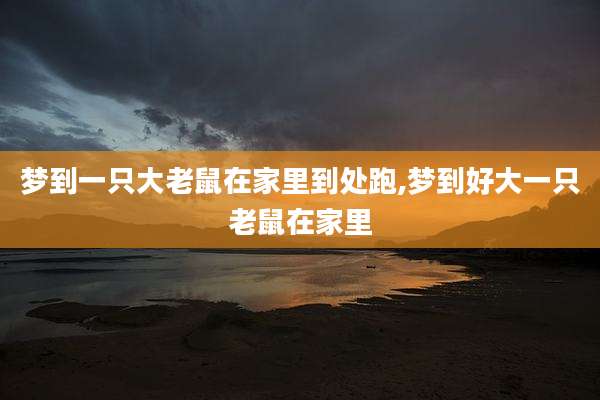 梦到一只大老鼠在家里到处跑,梦到好大一只老鼠在家里