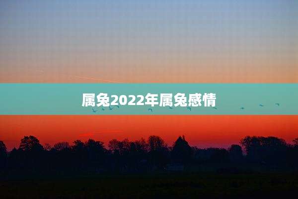 属兔2022年属兔感情