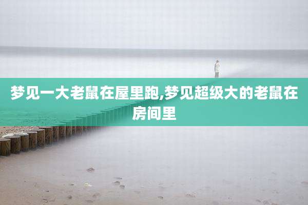 梦见一大老鼠在屋里跑,梦见超级大的老鼠在房间里