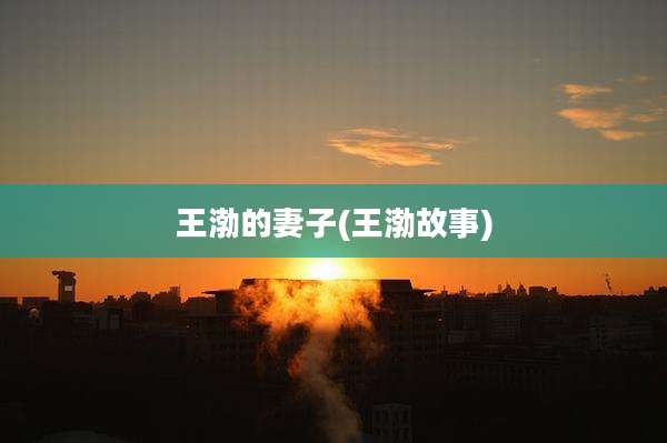 王渤的妻子(王渤故事)