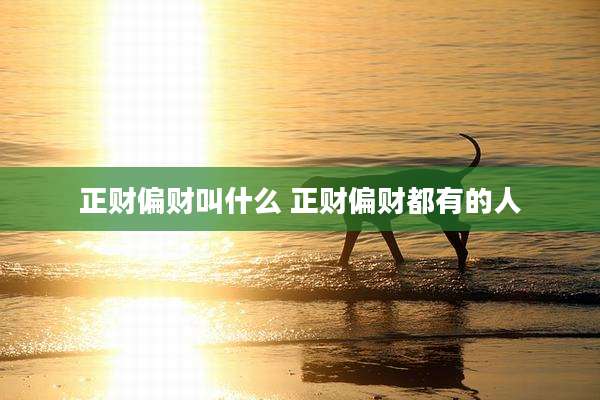 正财偏财叫什么 正财偏财都有的人