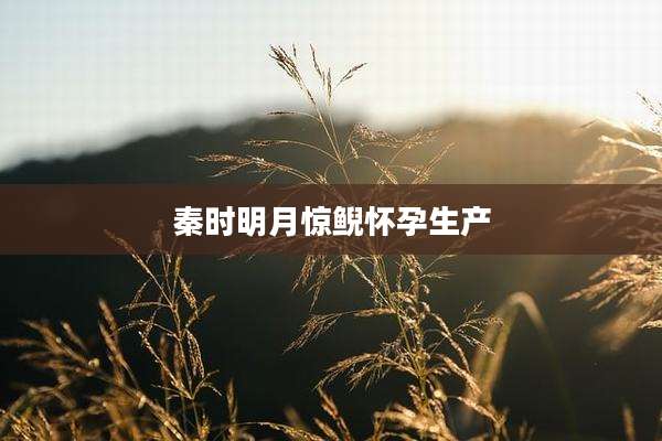 秦时明月惊鲵怀孕生产
