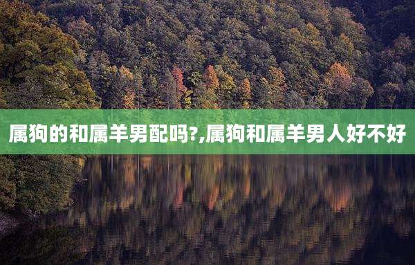 属狗的和属羊男配吗?,属狗和属羊男人好不好