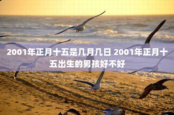 2001年正月十五是几月几日 2001年正月十五出生的男孩好不好