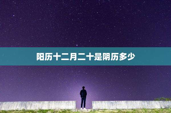阳历十二月二十是阴历多少