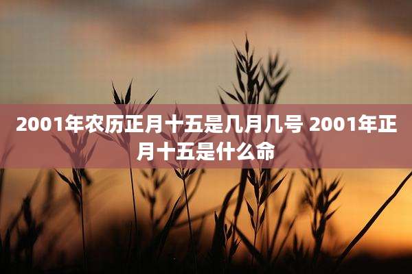 2001年农历正月十五是几月几号 2001年正月十五是什么命