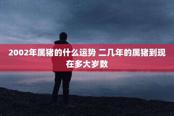 2002年属猪的什么运势 二几年的属猪到现在多大岁数