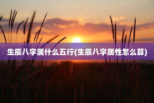 生辰八字属什么五行(生辰八字属性怎么算)