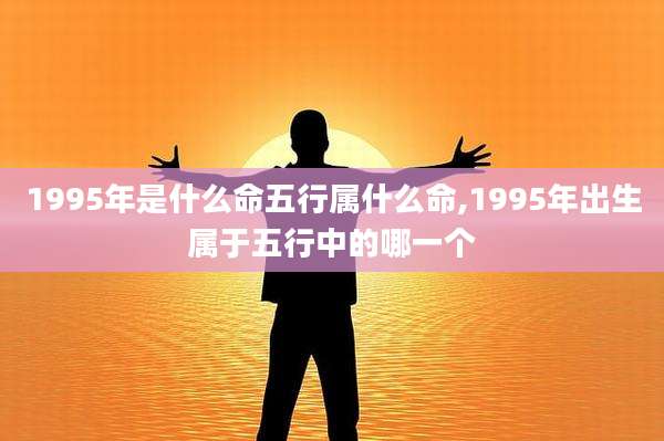 1995年是什么命五行属什么命,1995年出生属于五行中的哪一个