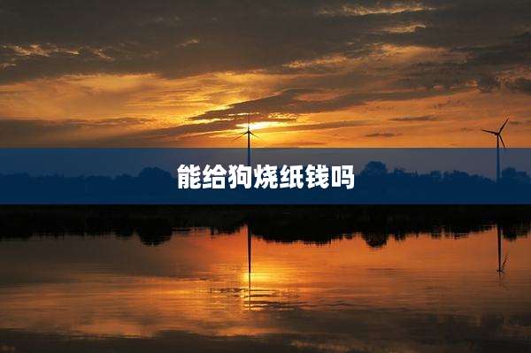 能给狗烧纸钱吗