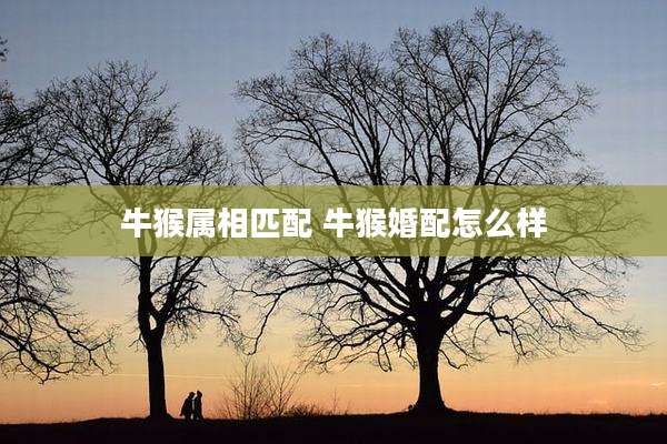 牛猴属相匹配 牛猴婚配怎么样