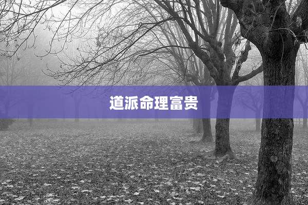 道派命理富贵