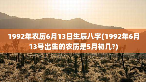 1992年农历6月13日生辰八字(1992年6月13号出生的农历是5月初几?)