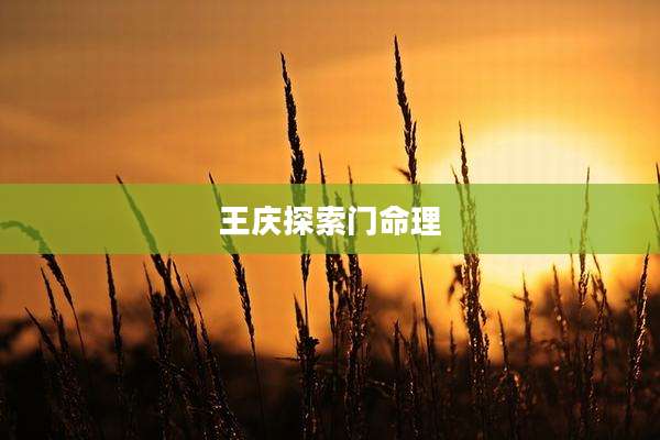王庆探索门命理