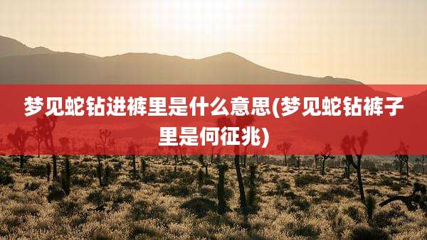 梦见蛇钻进裤里是什么意思(梦见蛇钻裤子里是何征兆)