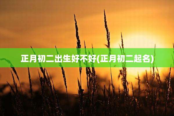正月初二出生好不好(正月初二起名)