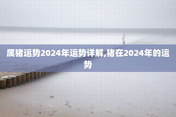 属猪运势2024年运势详解,猪在2024年的运势