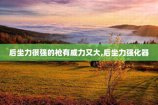 后坐力很强的枪有威力又大,后坐力强化器