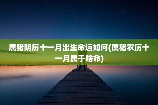 属猪阴历十一月出生命运如何(属猪农历十一月属于啥命)